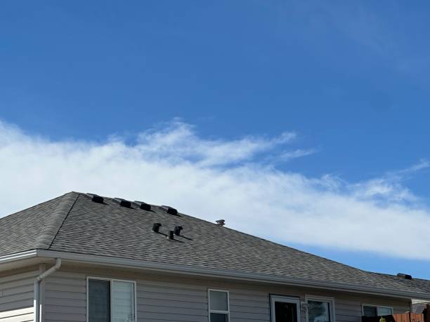 Best Metal Roofing Installation  in Tichigan, WI